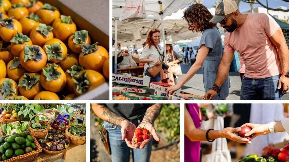 10 Must Visit Orange County Farmers Markets  