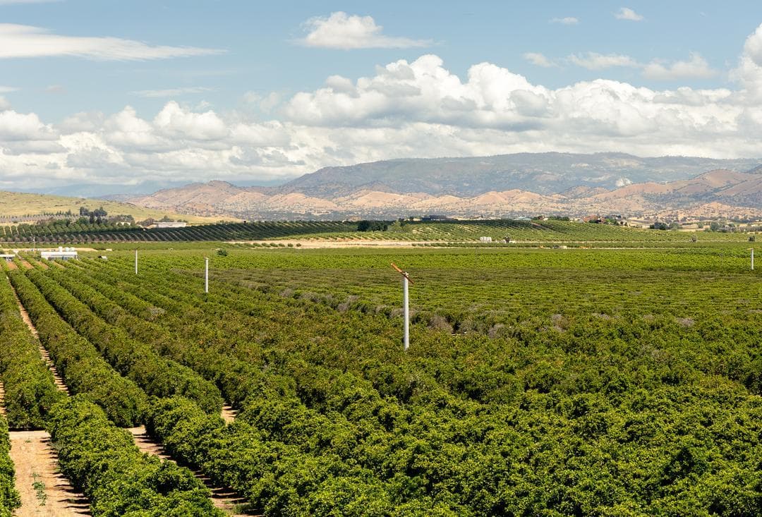 View looking out at California's Central Valley - where you'll find lots of farm camping