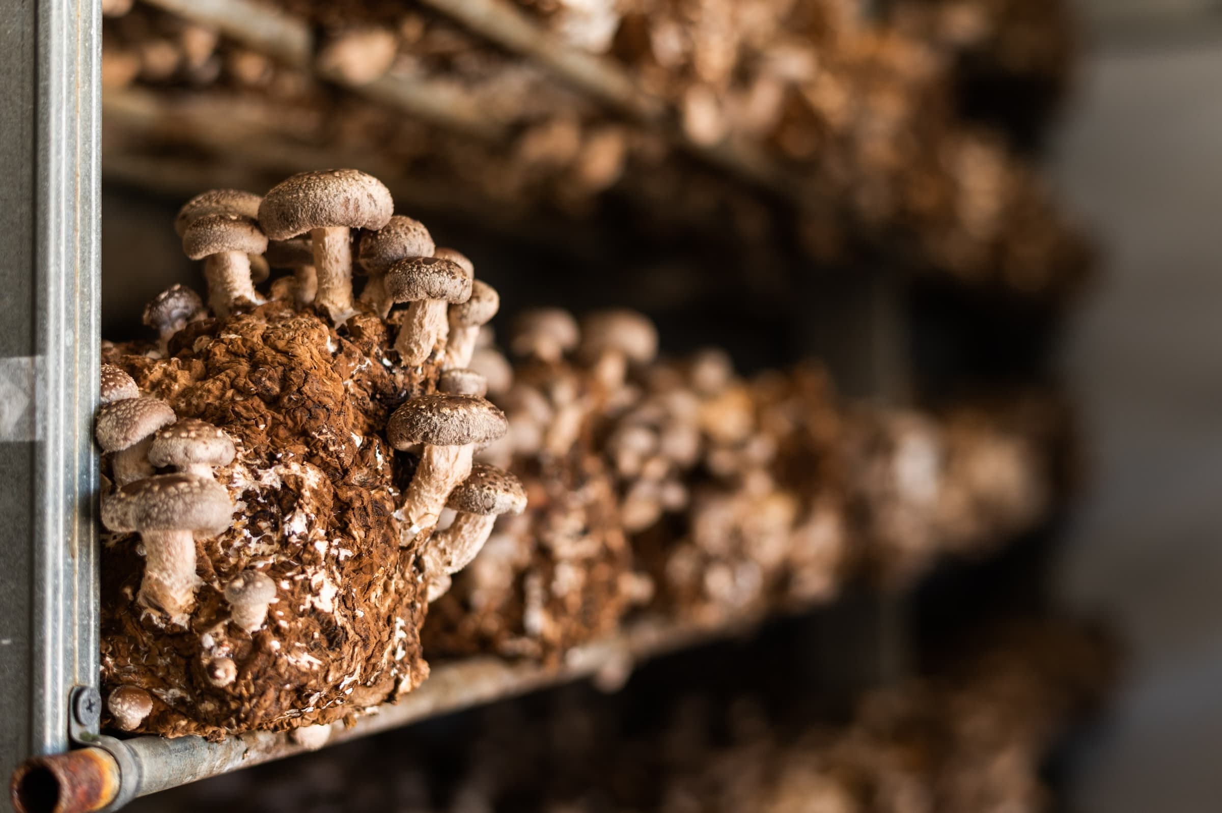 North Coast California agritourism