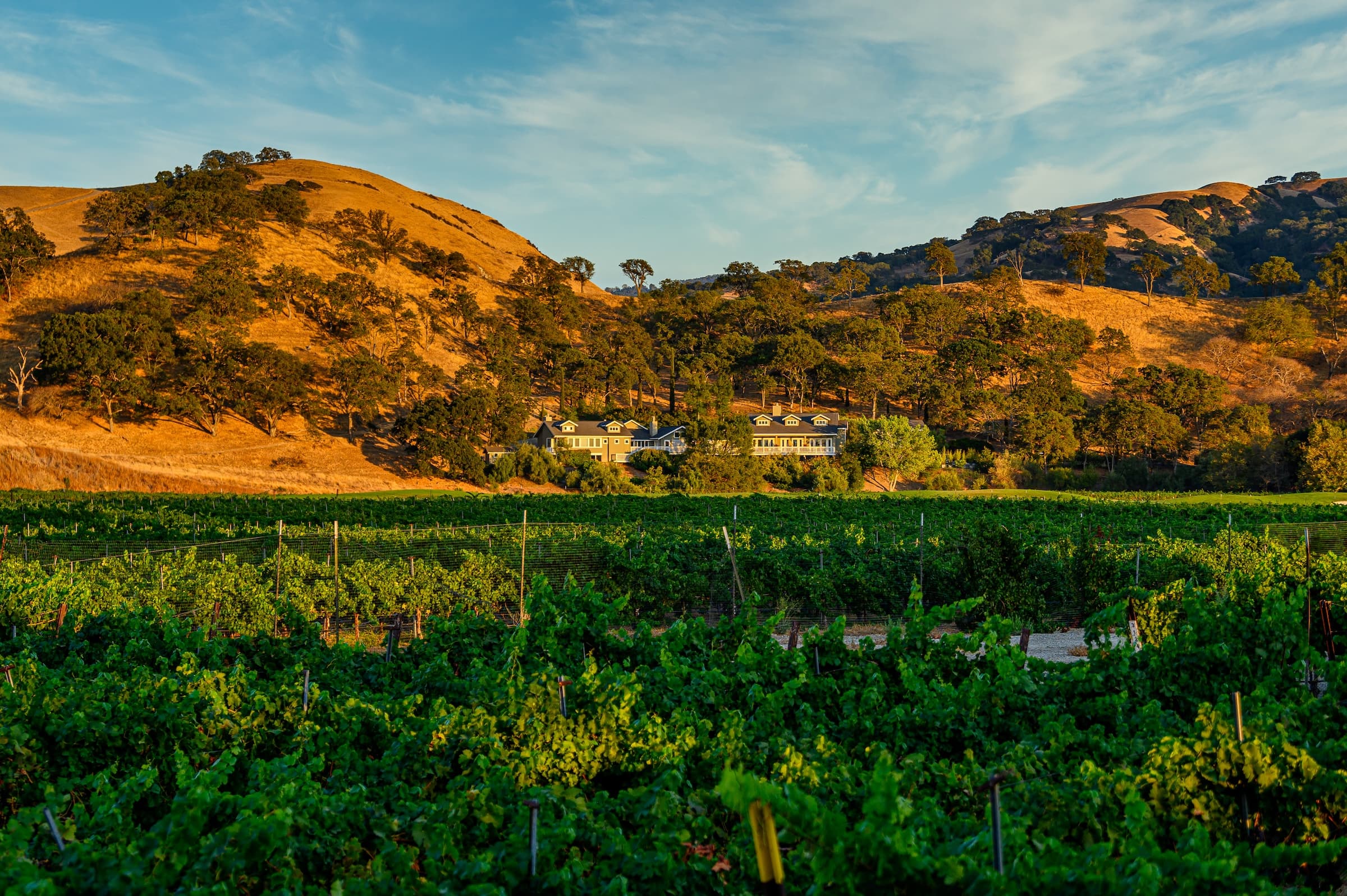 Discover the Roots of California With Livermore Wine History