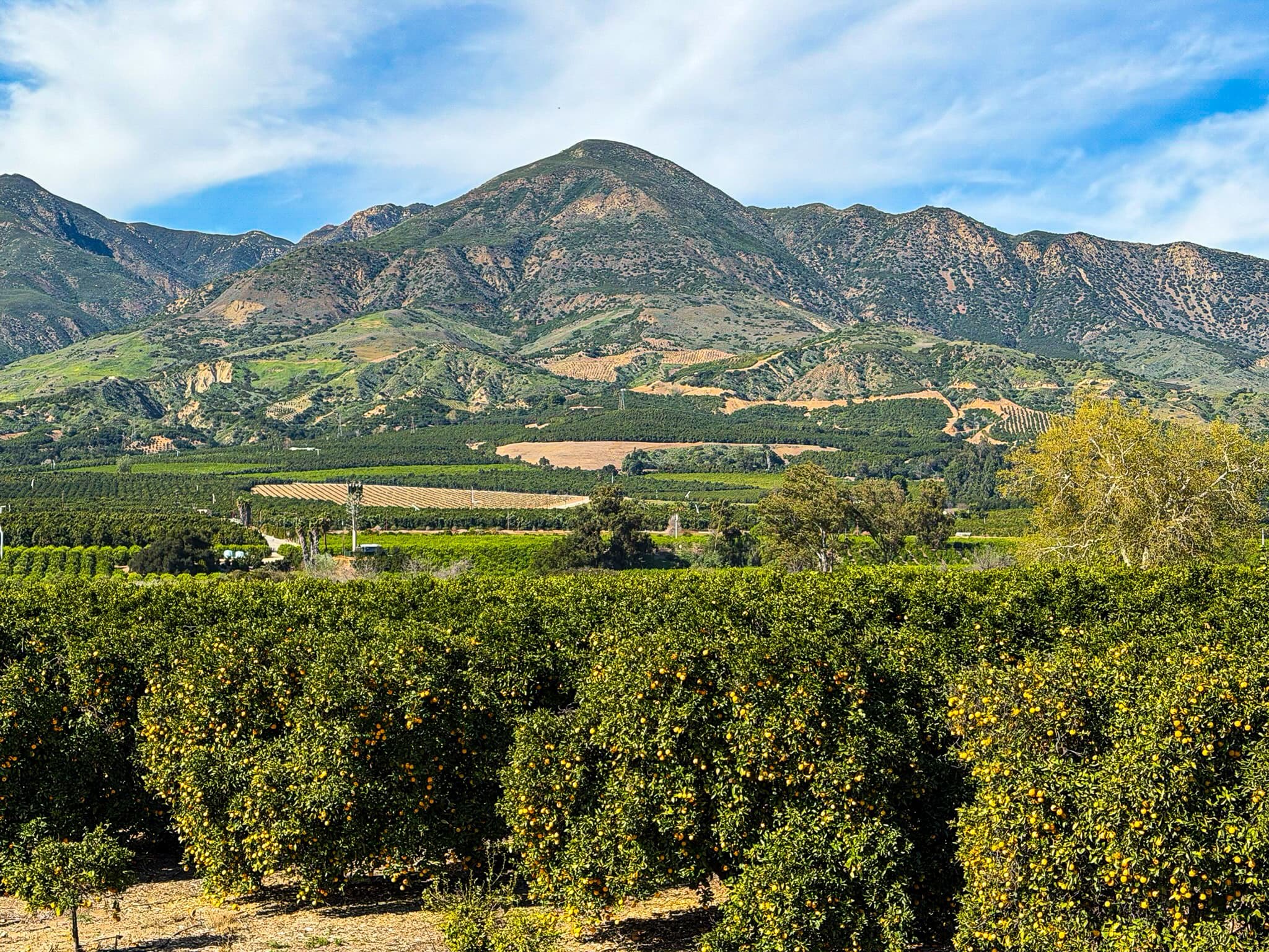 Orchards, Honey & Railbikes: Fresh-Air Fun on Highway 126