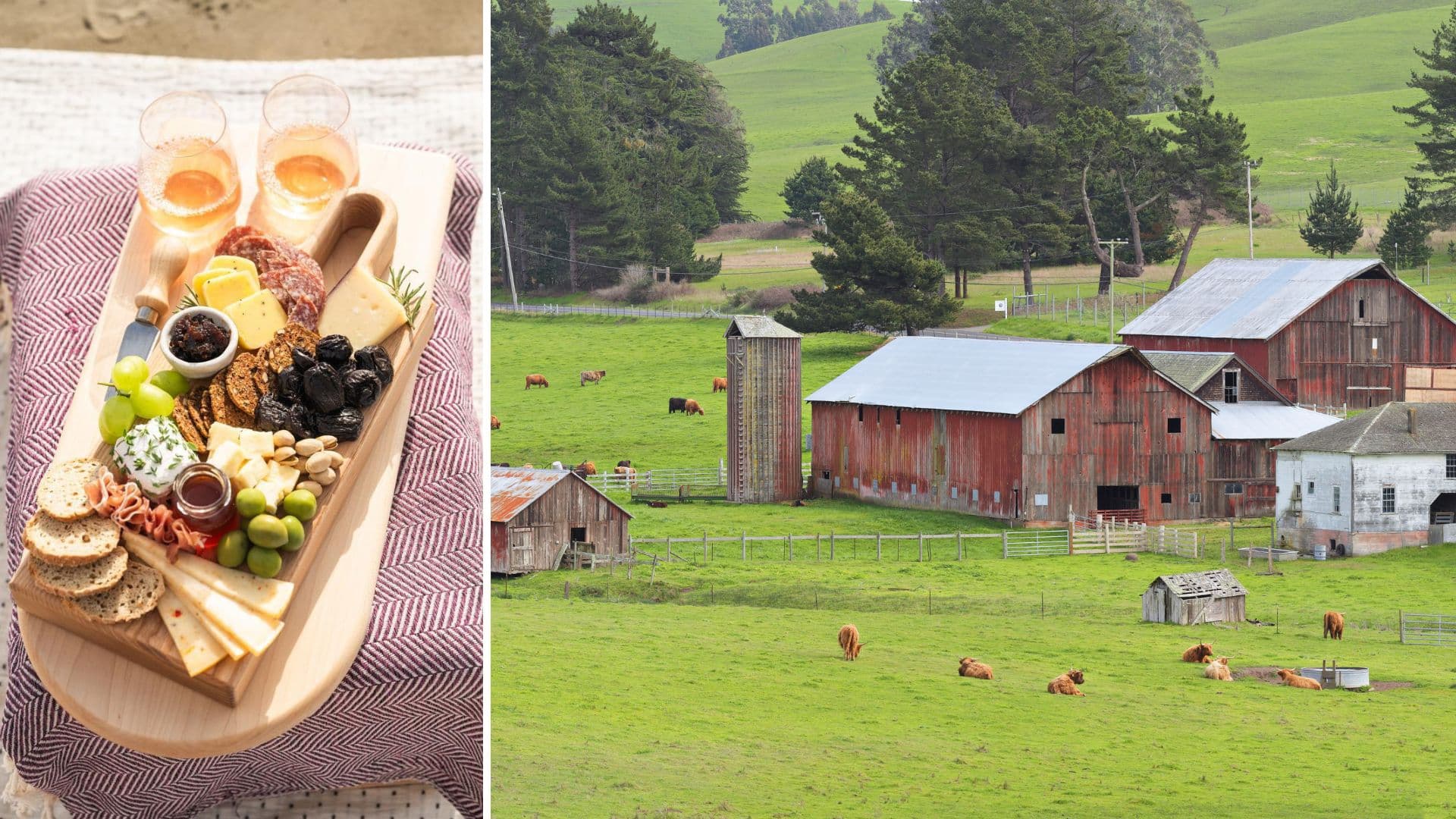 Spend a Perfect Day in Marin County