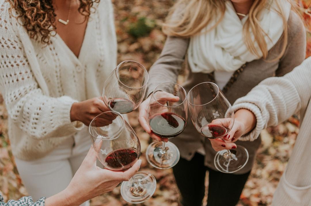 Women toasting with glasses of wine