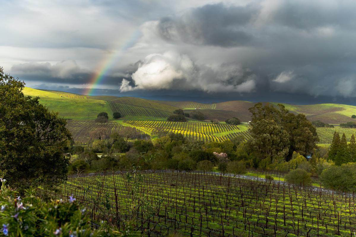 Napa Valley landscape with rainbow