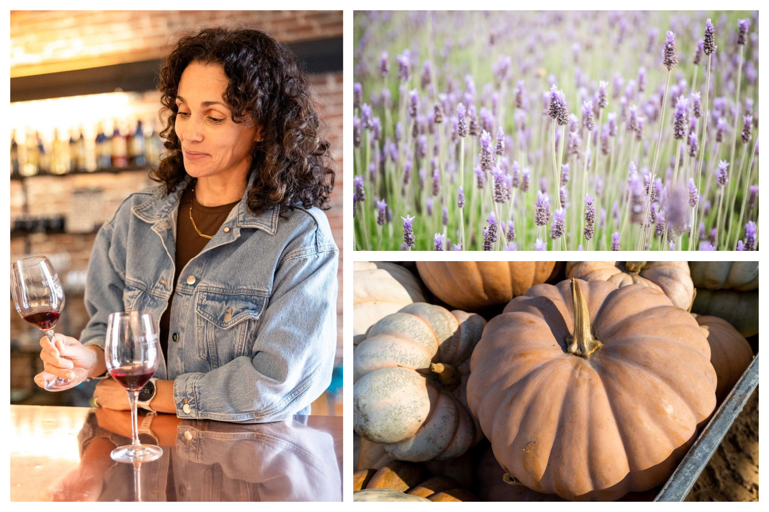 a collage of Shasta Cascade Farms - a women tasting wine, lavender and pumpkins