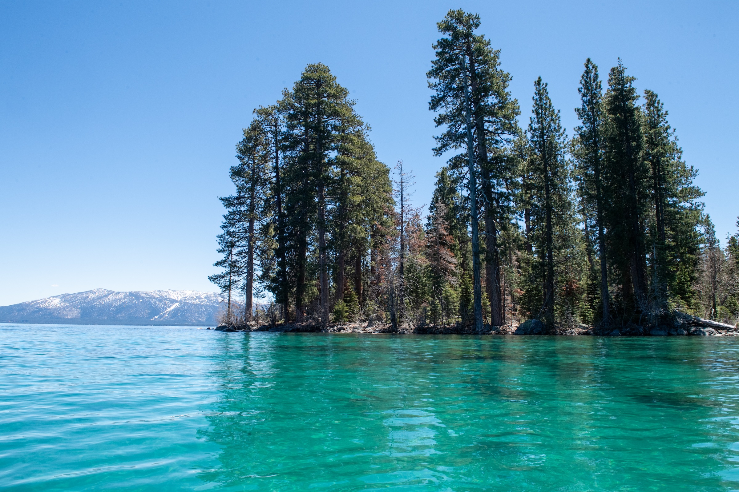 Restaurants in South Lake Tahoe