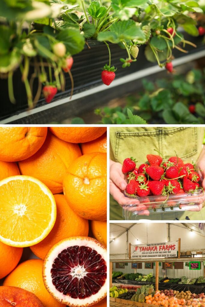 A collage of images of strawberries, oranges, and a farm stand.
