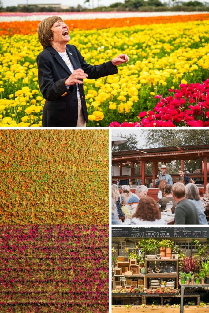 Collage of images from Encinitas.