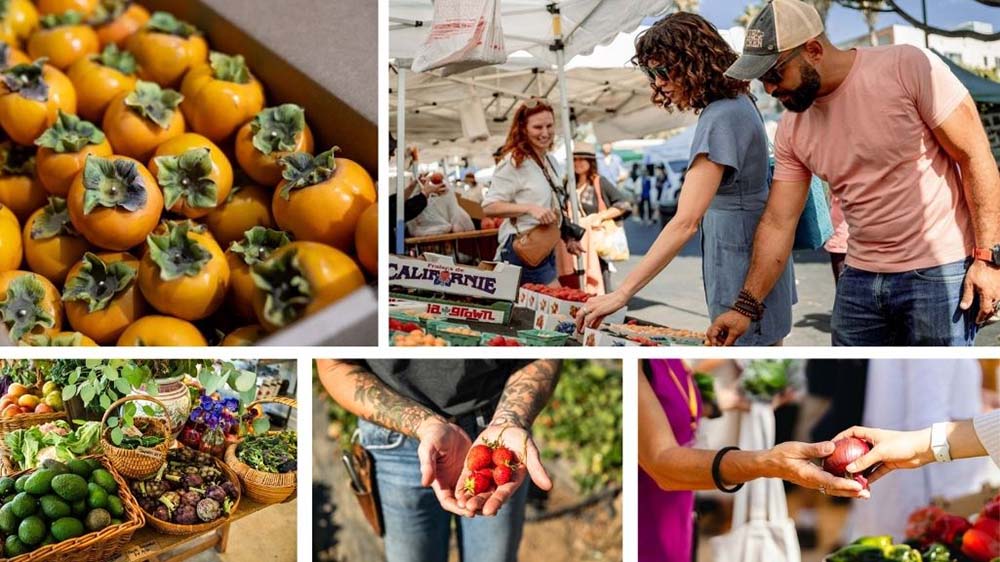 Orange County Farmers Markets  