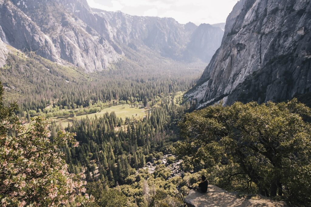 Restaurants Near Yosemite
