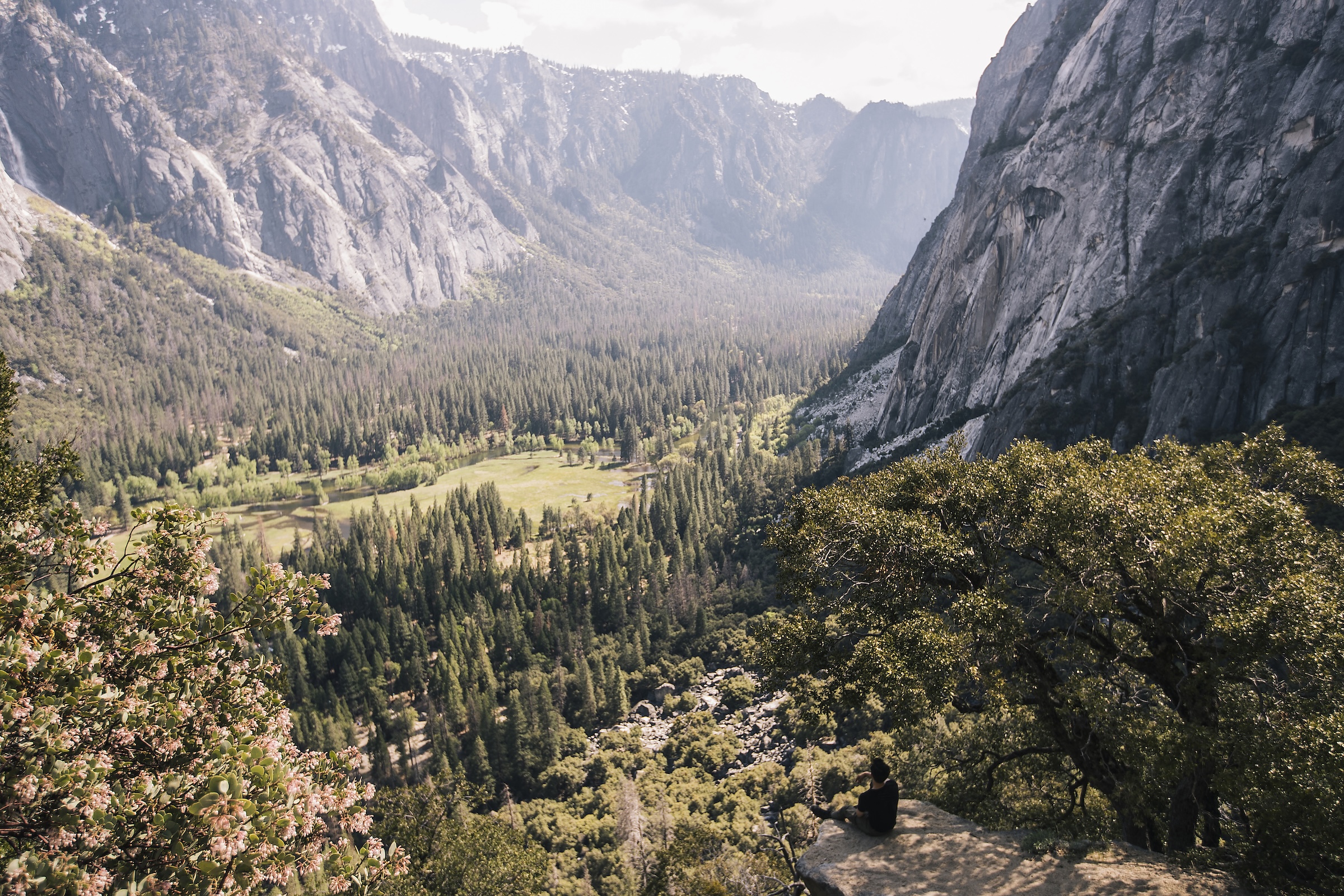 Restaurants Near Yosemite