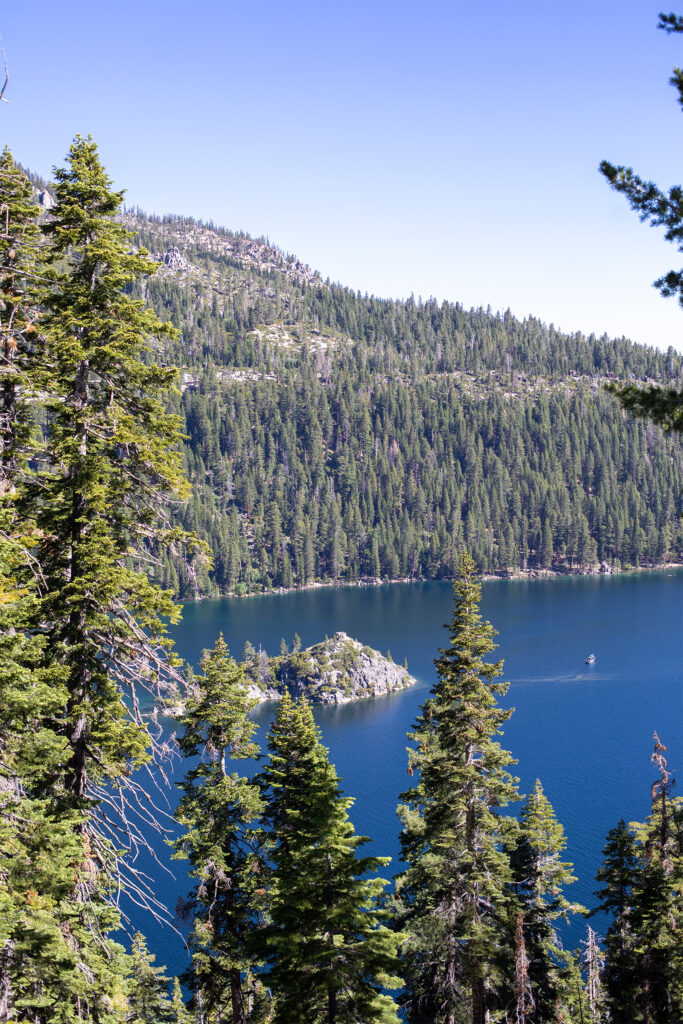 View of forest and lake
