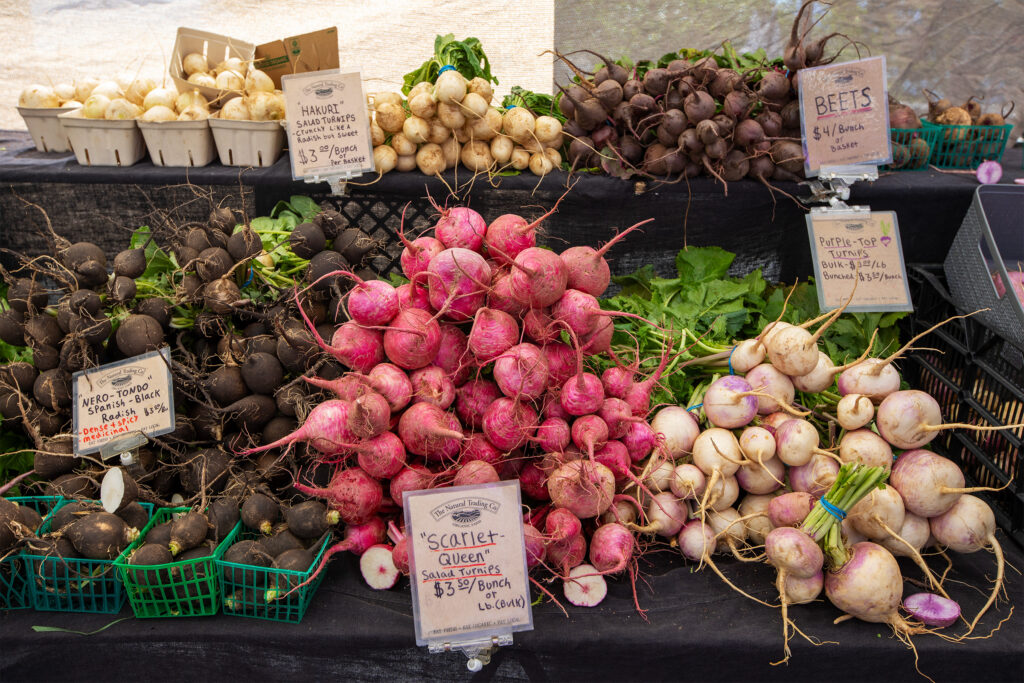 Bunches of turnips and radishes at a farmers market
