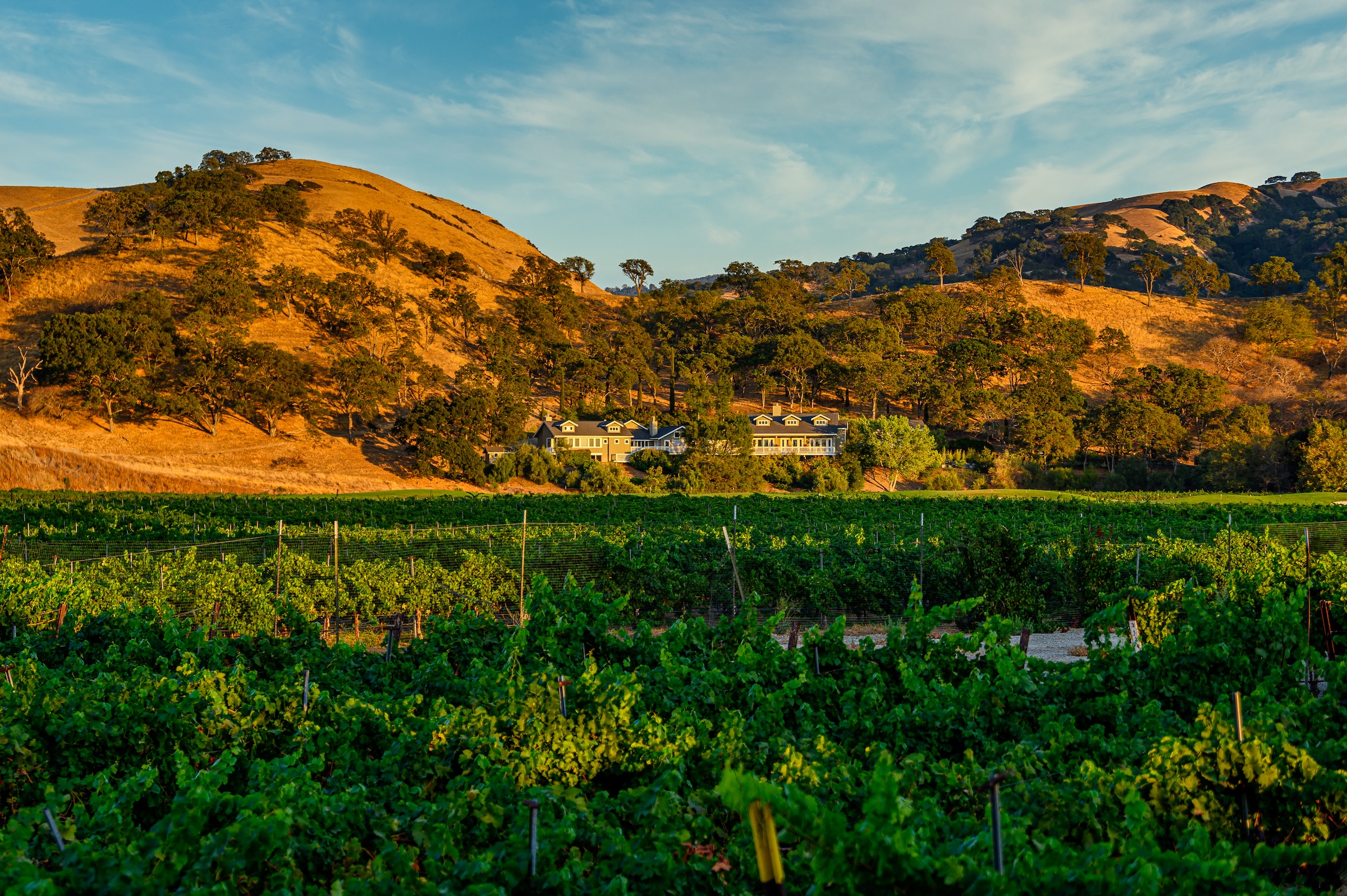 Livermore Wine History