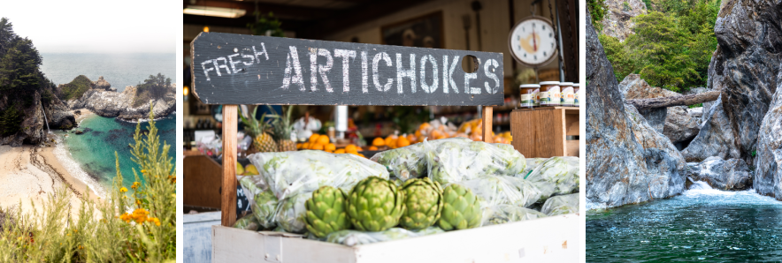 collage of Big Sur pics with artichokes from Monterey