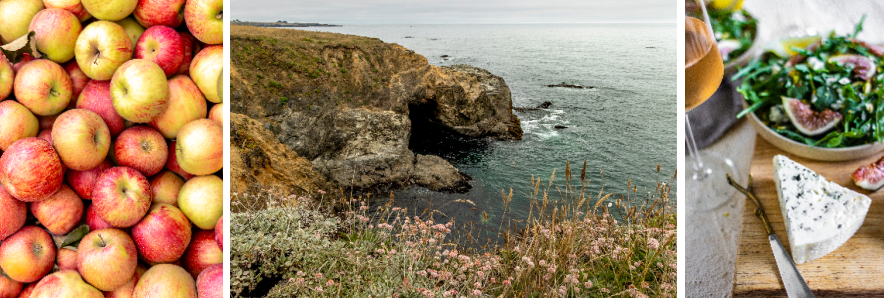 Apples, blue cheese and images from the Mendocino headlands trail