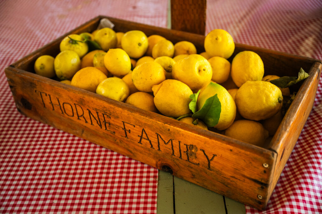 lemons from Thorne Family Farm 