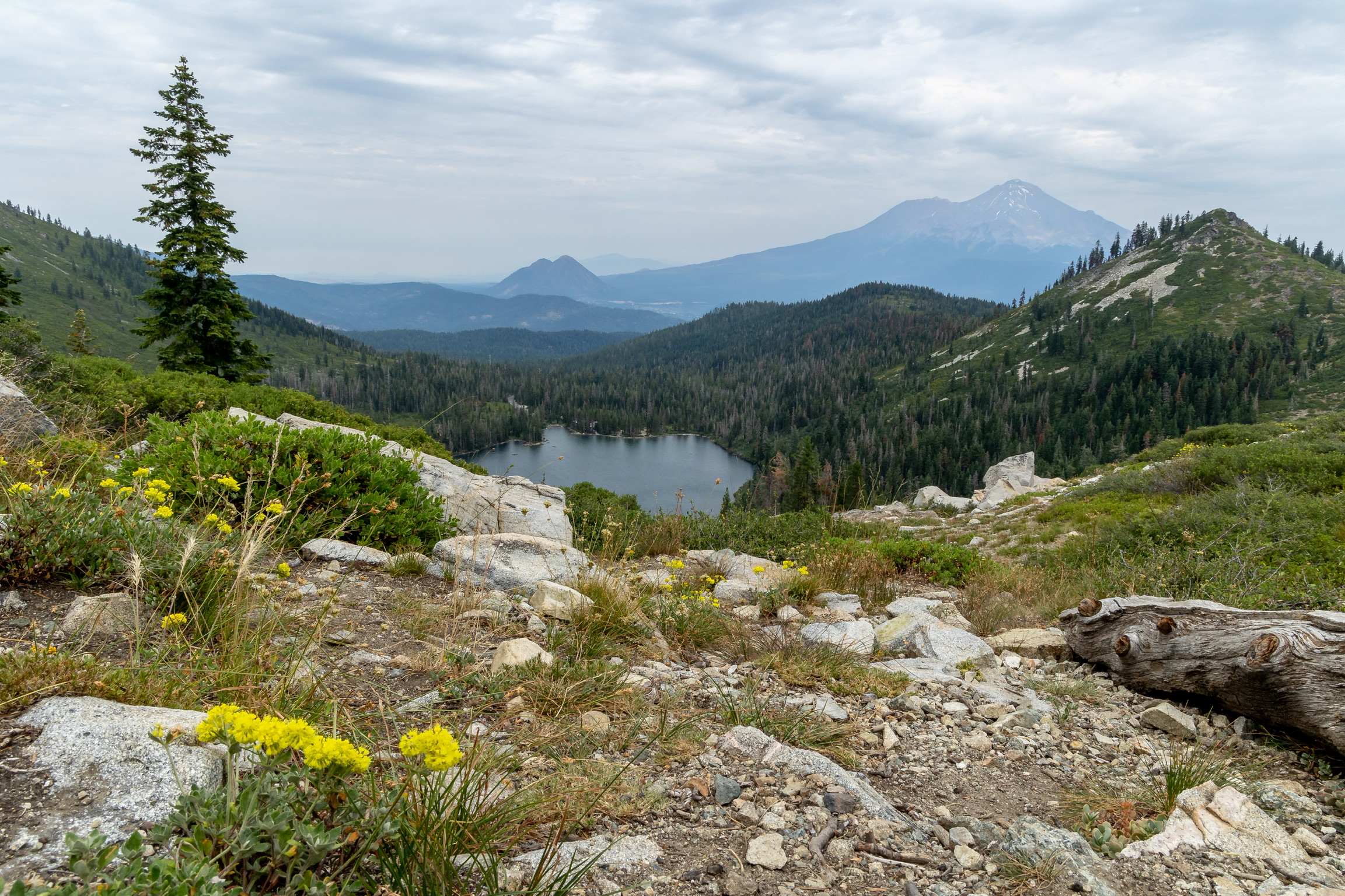 Heart Lake looking out to Mount Shasta