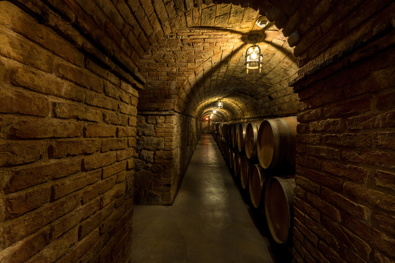 tunnels below Castello di Amorosa, where a plague victim is said to prowl