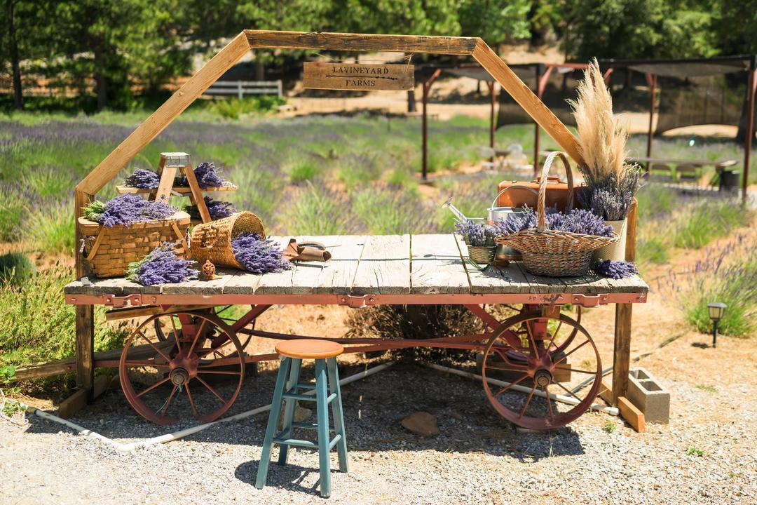 a work table at Lavineyard Farms