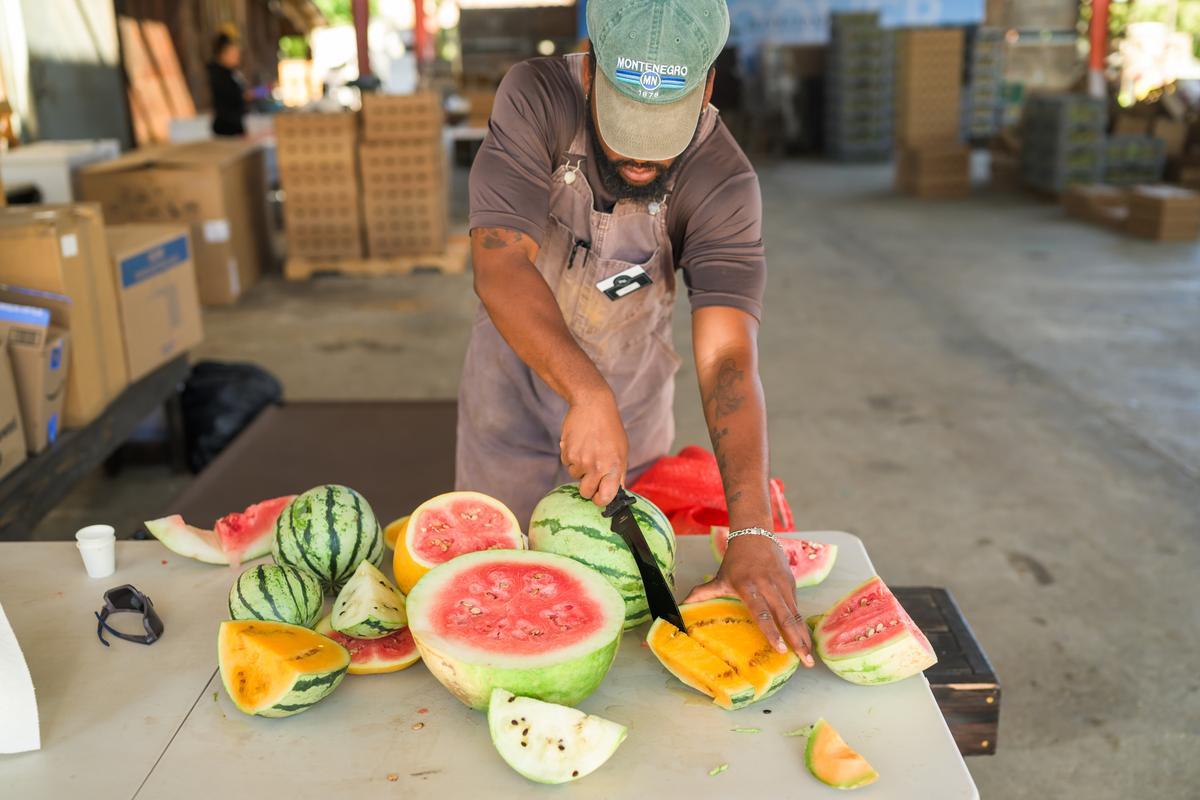man slicing open ripe melons