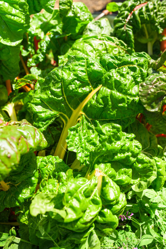 leafy greens