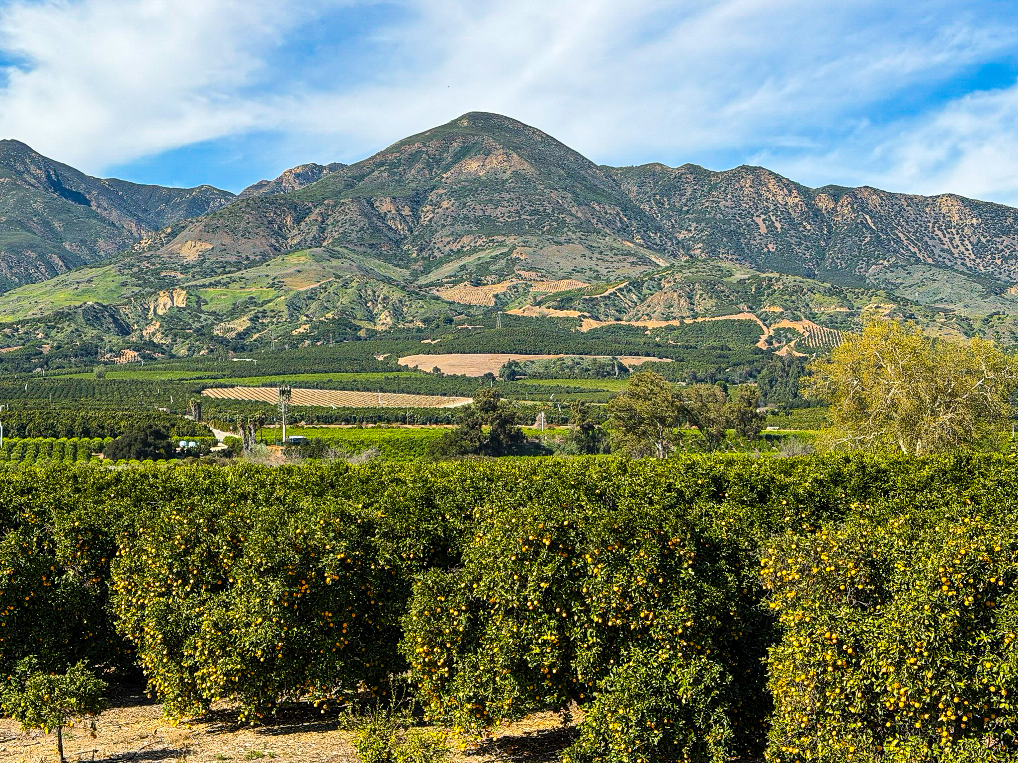 landscape image of the heritage valley along highway 126
