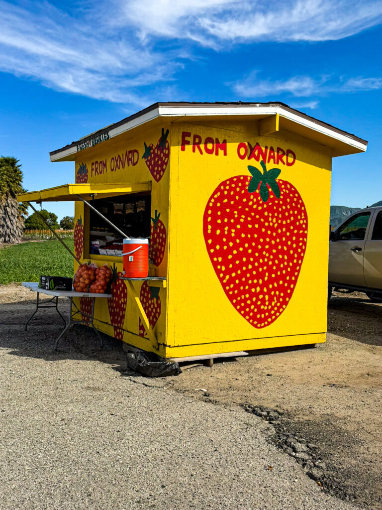 Fruit stands along highway 126