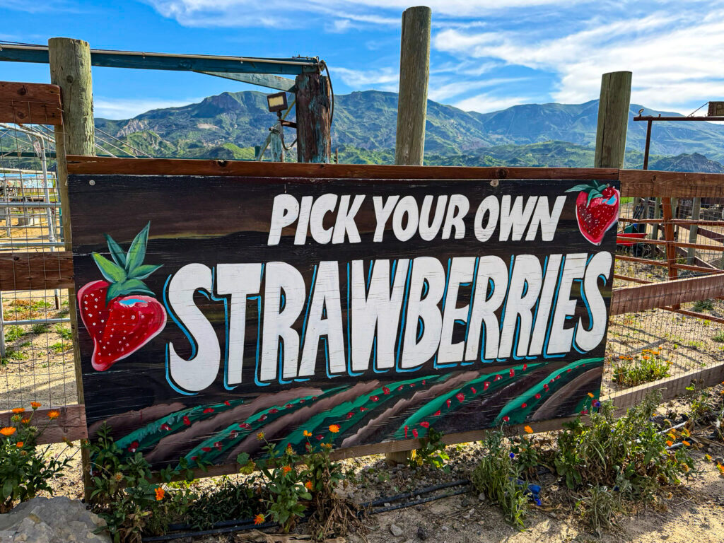 prancers farm sign