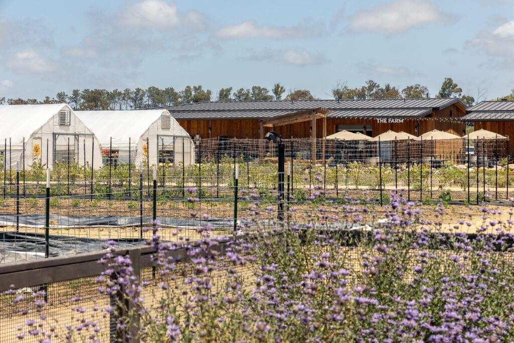 the on-site farm at Fox Point Farms