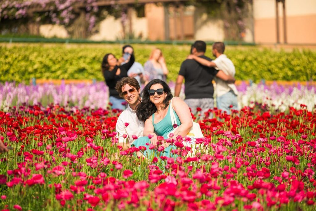 couple posing in a field of red flowers