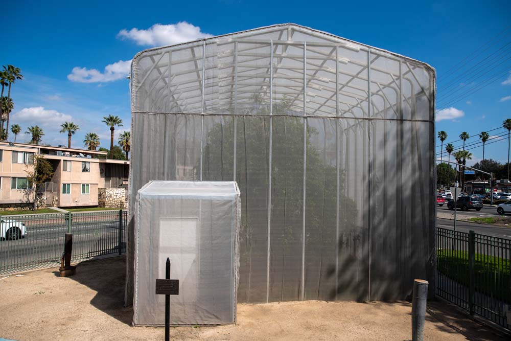 California Citrus: Home of the Parent Washington Navel Tree