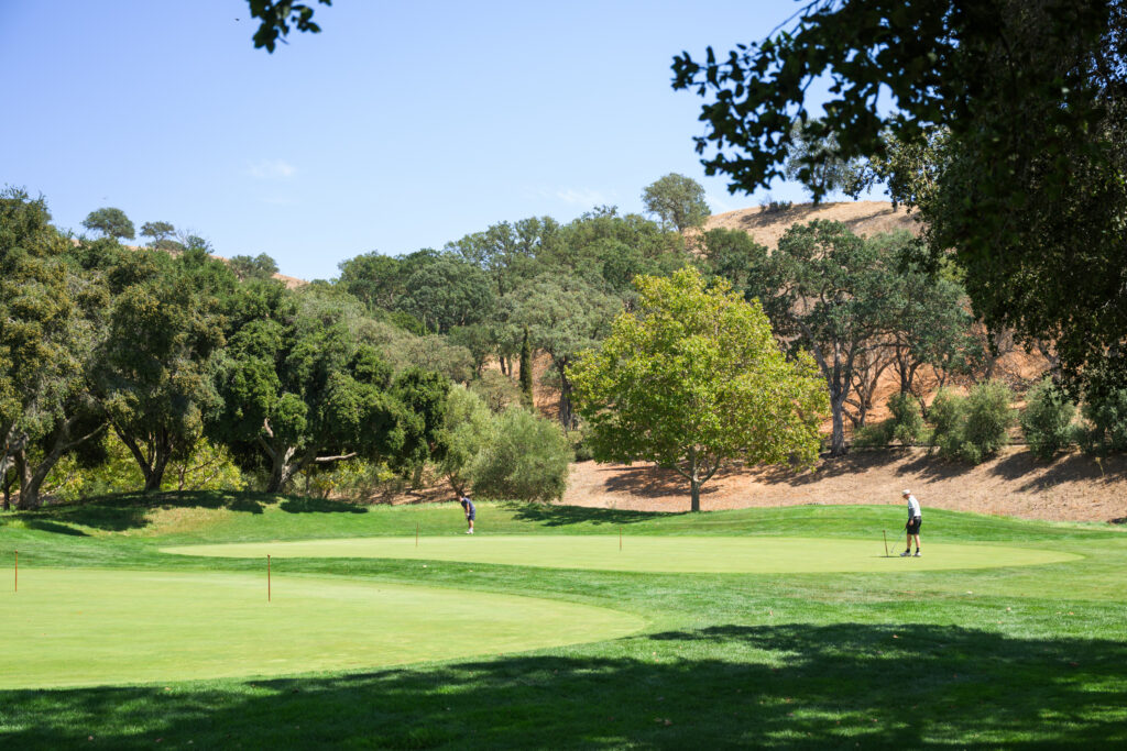 Golf Course at Wente Winery