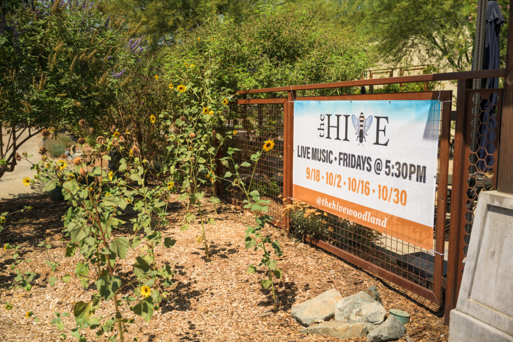 The HIVE in Woodland offers CA GROWN specials