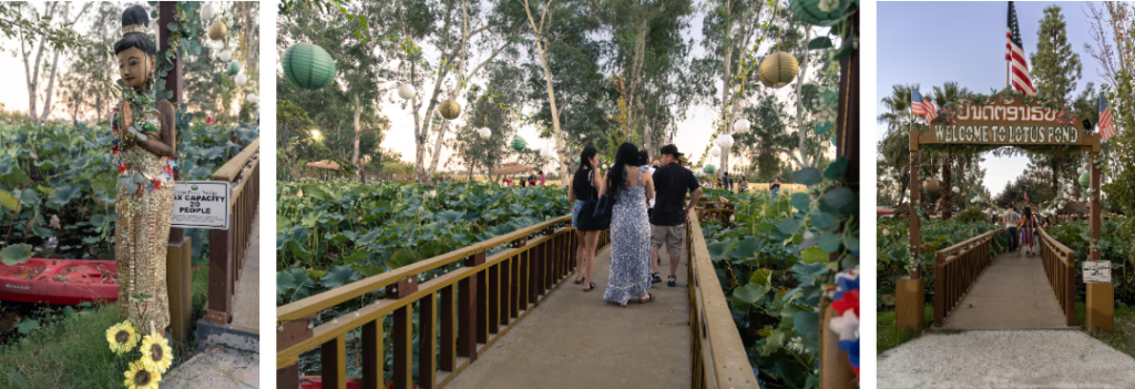 gallery of images of Lotus Pond Sanger