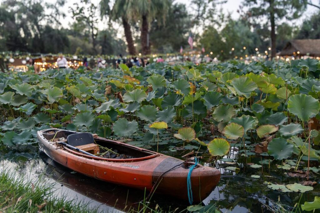canoe in the pond at Lotus Pond Sanger