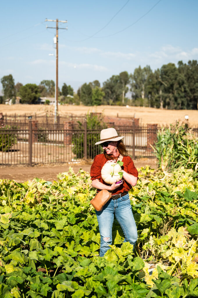 Alison Needham picking a pumpkin at Sweet Thistle Farms in Clovis