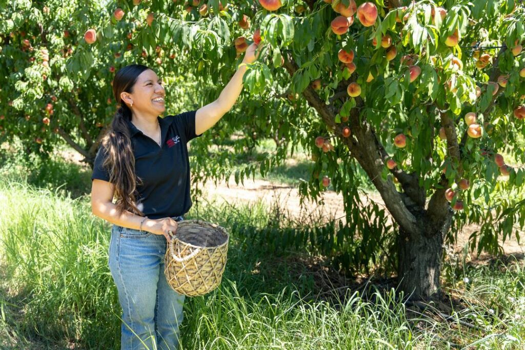 Liset Garcia, owner of Sweet Girl Farms