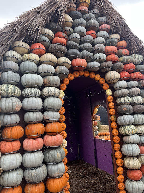gingerbread house made with stacked pumpkins