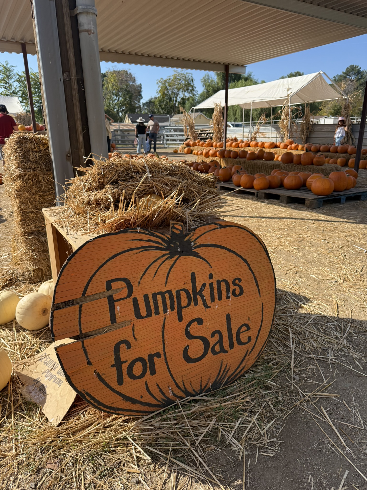pumpkin for sale sign at gilchrist ranch